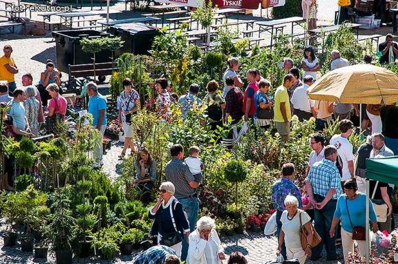 Wędliny, wypieki i piwo. Jarmark różany trwa