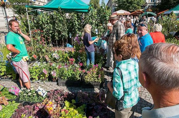 Wędliny, wypieki i piwo. Jarmark różany trwa