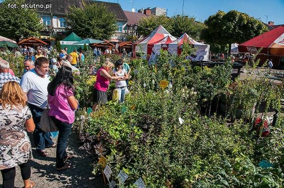 Wędliny, wypieki i piwo. Jarmark różany trwa