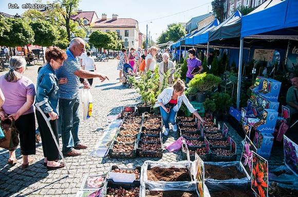 Wędliny, wypieki i piwo. Jarmark różany trwa