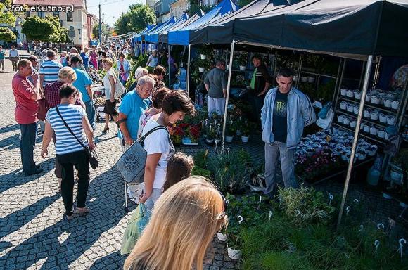 Wędliny, wypieki i piwo. Jarmark różany trwa