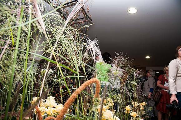 Pachnące róże i motyle na wystawie 