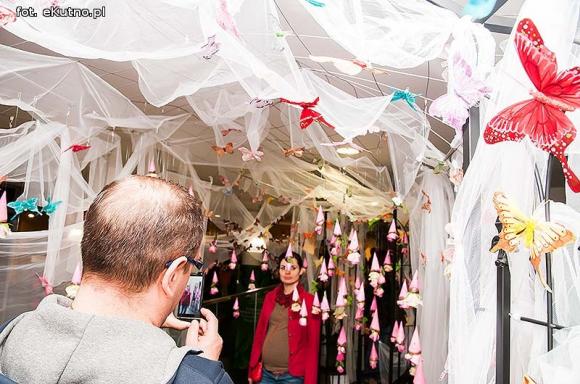 Pachnące róże i motyle na wystawie 