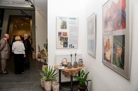 Pachnące róże i motyle na wystawie 