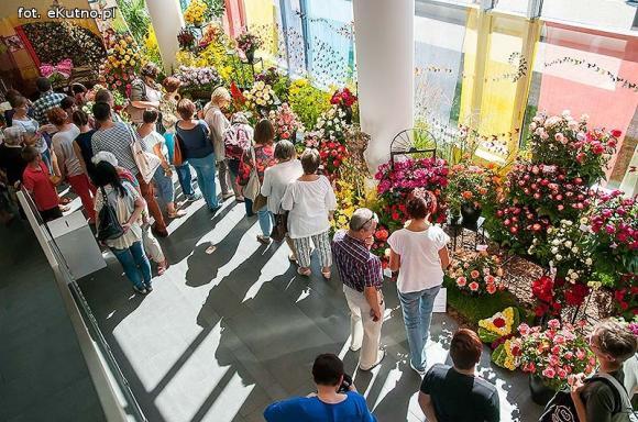 Różana sobota w różowym nastroju