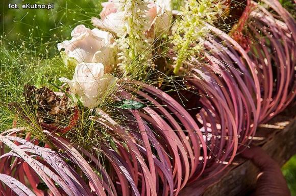 Różana sobota w różowym nastroju