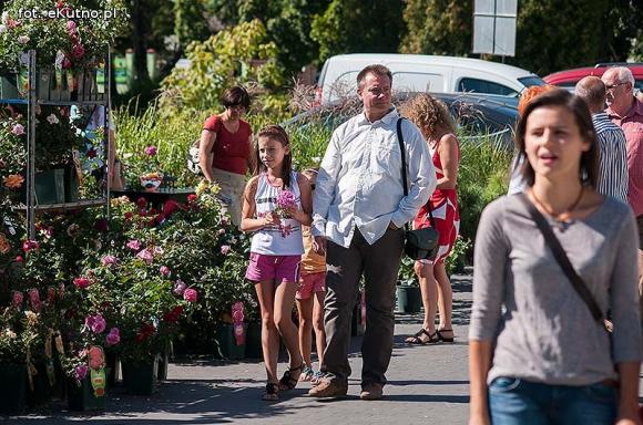 Różana sobota w różowym nastroju
