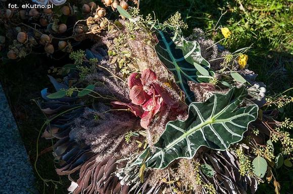 Różana sobota w różowym nastroju