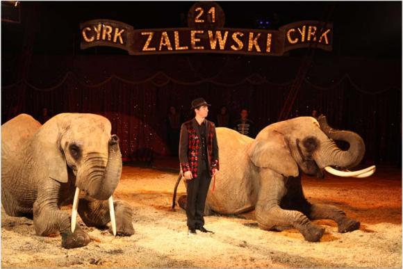 Pójdą do Cyrku ZALEWSKI