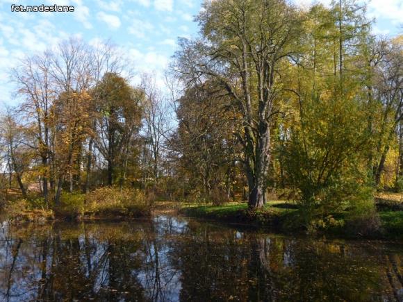 Pieszy rajd do Oporowa