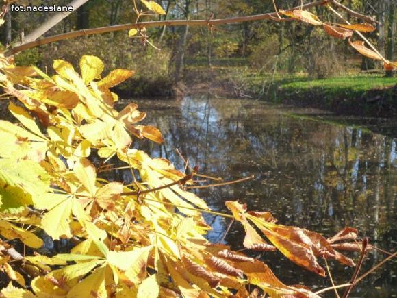 Pieszy rajd do Oporowa