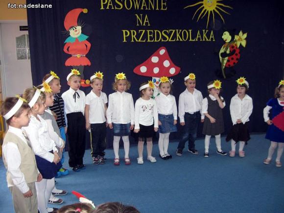 Stokrotki złożyły ślubowanie