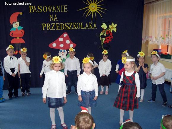 Stokrotki złożyły ślubowanie