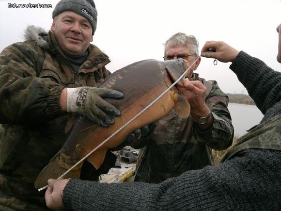 Reminiscencje: Odłów kontrolowany w Oporowie