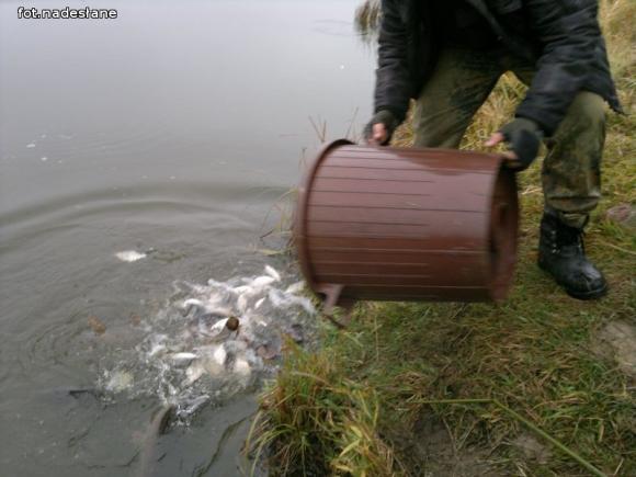 Reminiscencje: Odłów kontrolowany w Oporowie