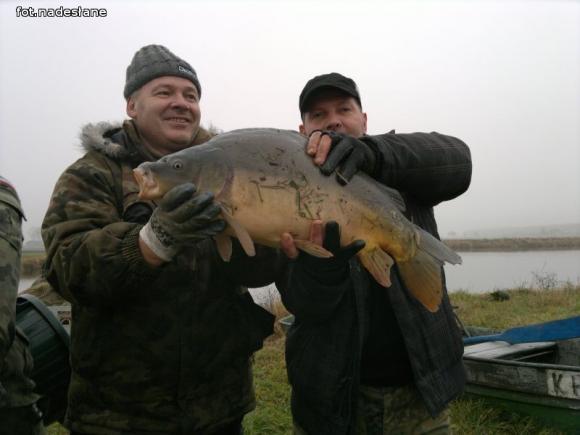 Reminiscencje: Odłów kontrolowany w Oporowie