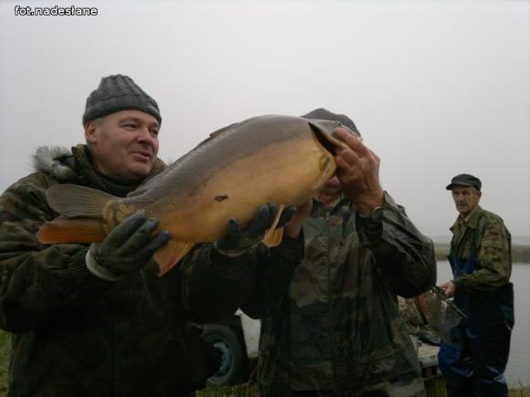Reminiscencje: Odłów kontrolowany w Oporowie