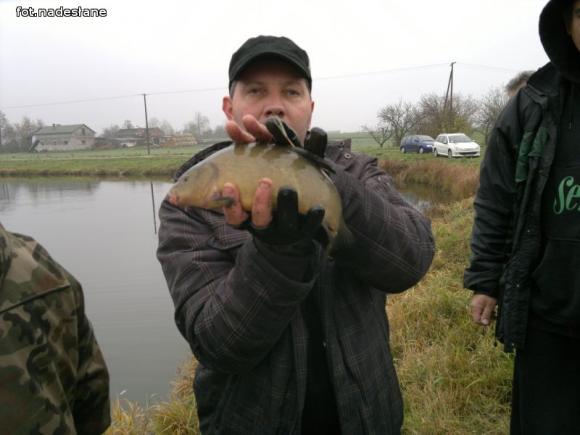 Reminiscencje: Odłów kontrolowany w Oporowie