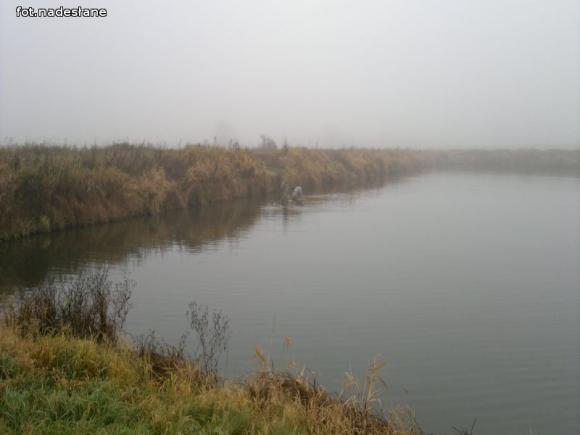 Reminiscencje: Odłów kontrolowany w Oporowie