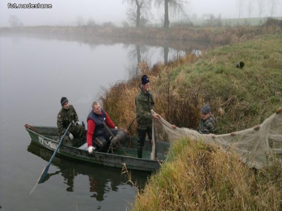 Reminiscencje: Odłów kontrolowany w Oporowie