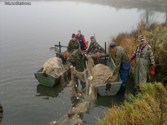 Reminiscencje: Odłów kontrolowany w Oporowie