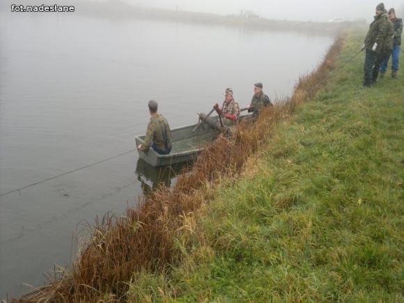Reminiscencje: Odłów kontrolowany w Oporowie