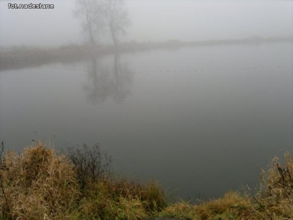 Reminiscencje: Odłów kontrolowany w Oporowie