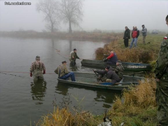 Reminiscencje: Odłów kontrolowany w Oporowie