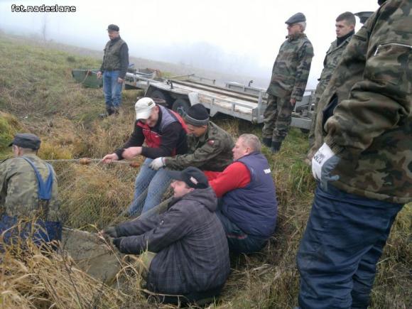 Reminiscencje: Odłów kontrolowany w Oporowie