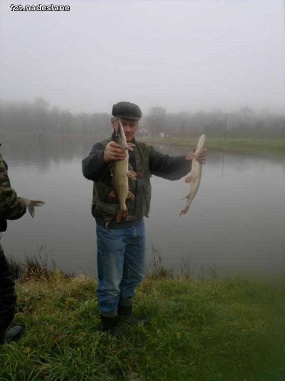 Reminiscencje: Odłów kontrolowany w Oporowie