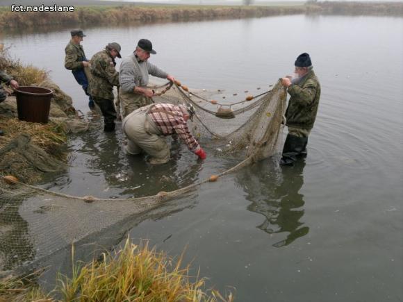 Reminiscencje: Odłów kontrolowany w Oporowie