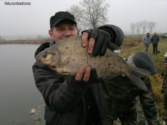 Reminiscencje: Odłów kontrolowany w Oporowie