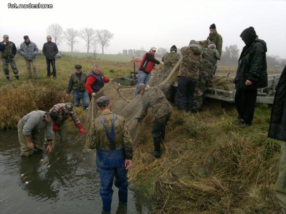 Reminiscencje: Odłów kontrolowany w Oporowie