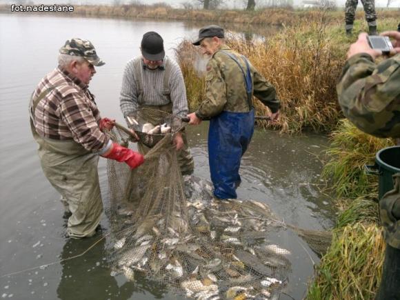 Reminiscencje: Odłów kontrolowany w Oporowie