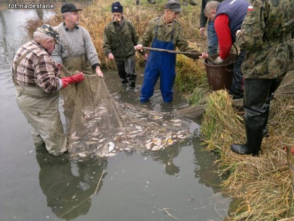 Reminiscencje: Odłów kontrolowany w Oporowie
