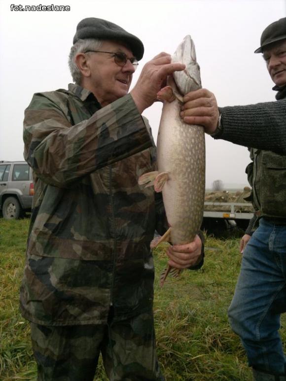 Reminiscencje: Odłów kontrolowany w Oporowie