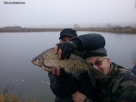 Reminiscencje: Odłów kontrolowany w Oporowie