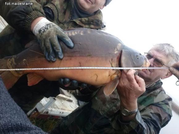 Reminiscencje: Odłów kontrolowany w Oporowie