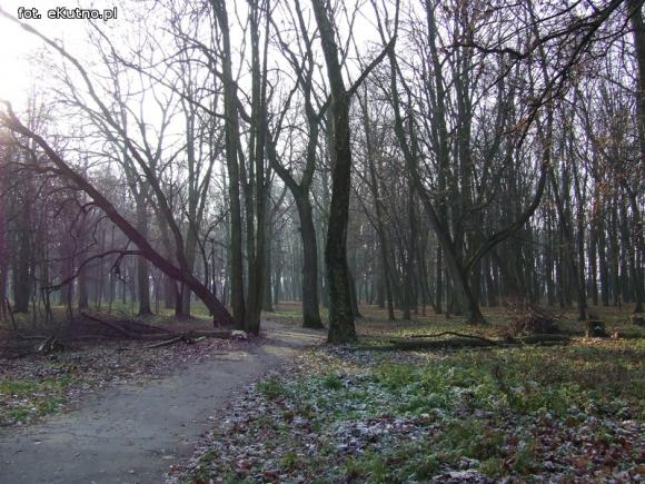 Ruszyły prace rewitalizacyjne w zabytkowym Parku Wiosny Ludów