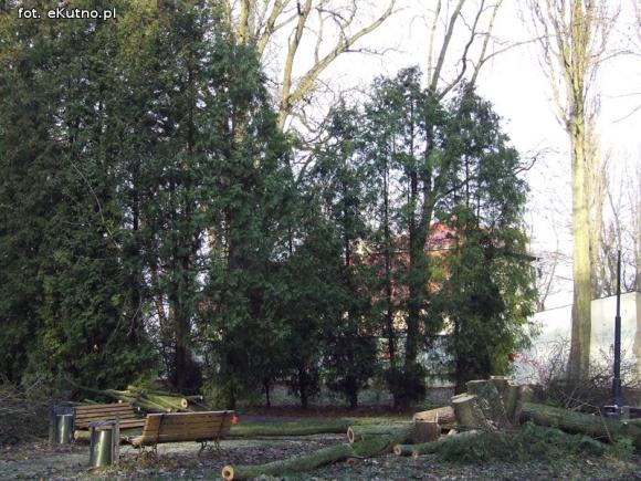 Ruszyły prace rewitalizacyjne w zabytkowym Parku Wiosny Ludów