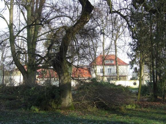 Ruszyły prace rewitalizacyjne w zabytkowym Parku Wiosny Ludów