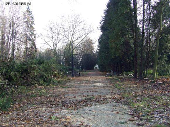 Ruszyły prace rewitalizacyjne w zabytkowym Parku Wiosny Ludów