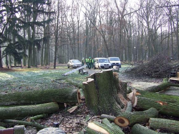 Ruszyły prace rewitalizacyjne w zabytkowym Parku Wiosny Ludów