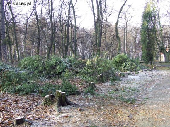 Ruszyły prace rewitalizacyjne w zabytkowym Parku Wiosny Ludów
