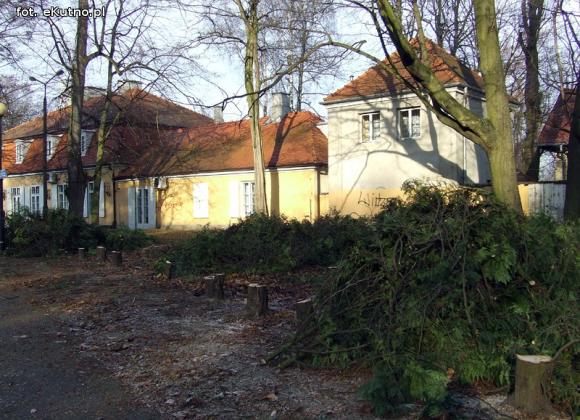 Ruszyły prace rewitalizacyjne w zabytkowym Parku Wiosny Ludów