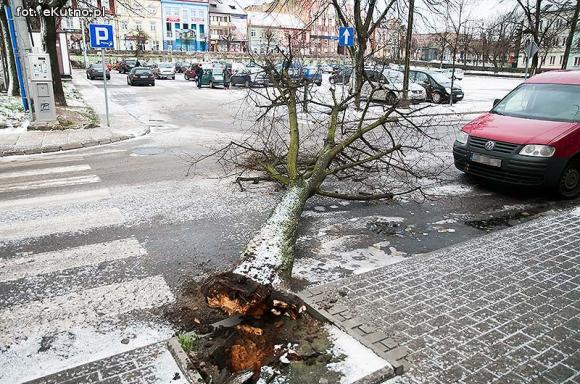 Skutki wichury w Kutnie