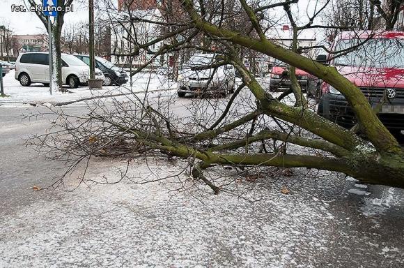 Skutki wichury w Kutnie