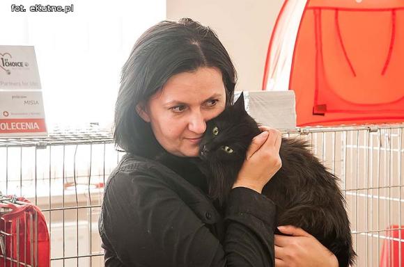 Mikołajkowy pokaz kotów rasowych w Żychlinie