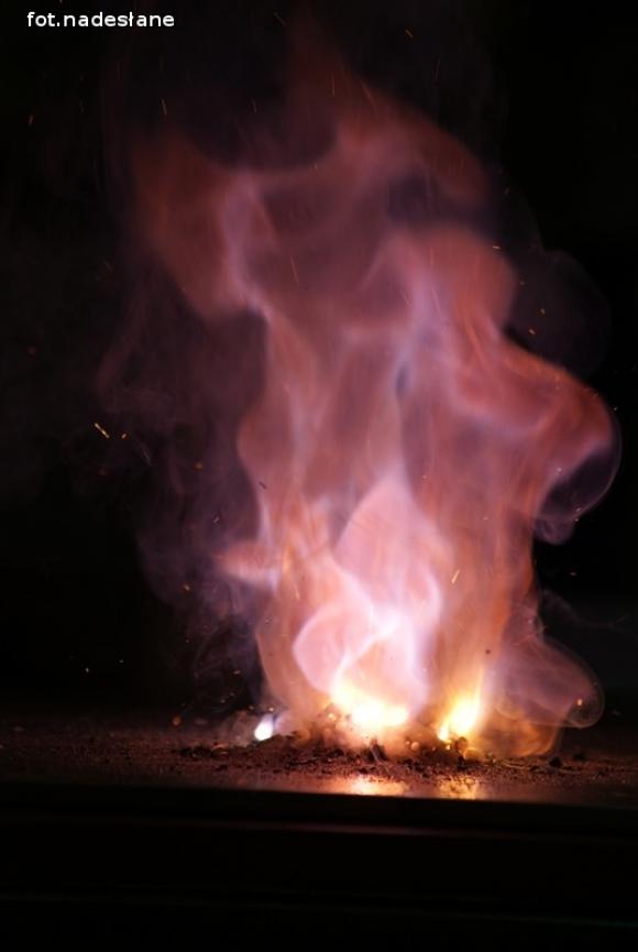 Święto nauki w Zespole Szkół w Żychlinie