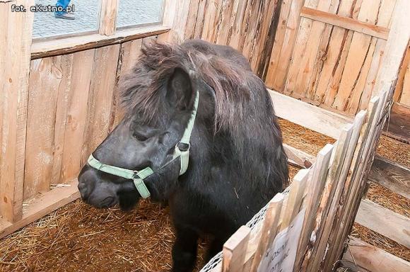 Święto miłości - błogosłowionych chwil w gronie rodzinnym. Wigilia pod Ratuszem